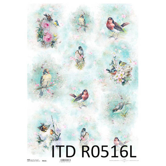 Papier ryżowy do decoupage A3 ITD-0516L ptaszki