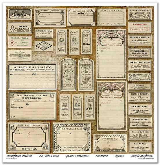 Zestaw papierów do scrapbookingu 30x30 - Itd Collection - Herbarium 2