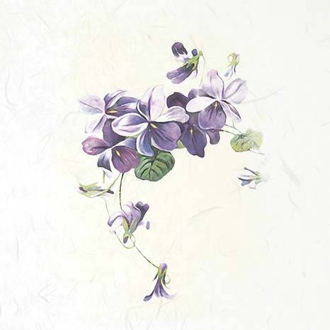 Zestaw papierów ryżowych - ITD RSM076 kwiaty, fiołki