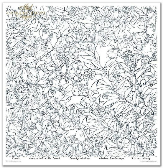 Zestaw papierów do scrapbookingu 30x30 - Decorated with frost