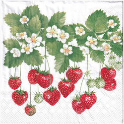 Serwetka 33x33cm - Summer Fruits truskawki