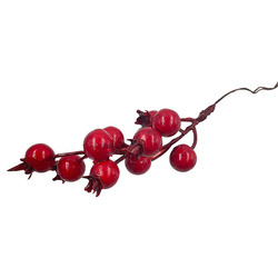 Głóg czerwony - 1 gałązka