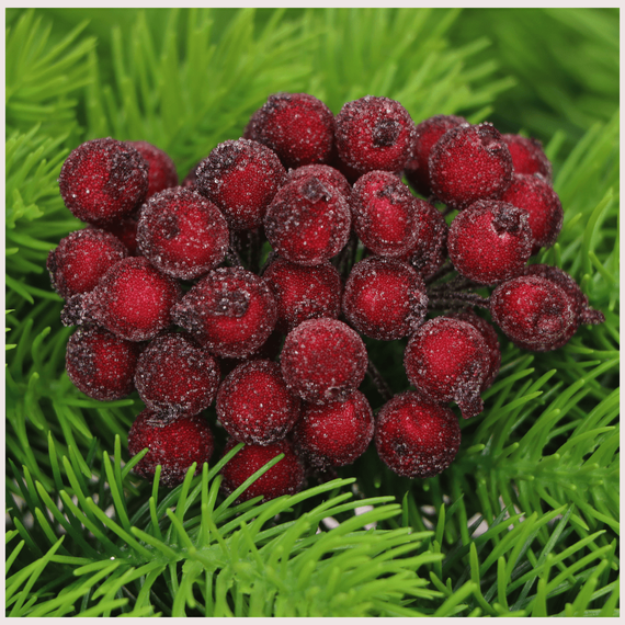 Jarzębina bordowa oszroniona na druciku - 1 gałązka