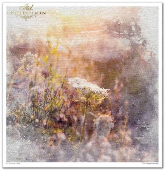 Zestaw papierów do scrapbookingu 30x30 - Summer Meadow