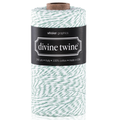 Sznurek Teal Divine Twine - 1m - Whisker Graphics - biało-morski