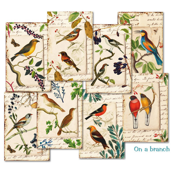 Zestaw papierów do scrapbookingu 11x7 cm - Decorer - Na gałęzi