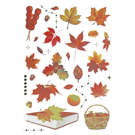 Naklejki foliowe - Liście, grzyby, wiewiórki