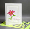 Wykrojnik - Memory Box - Simple Poinsettia Frame ramki poinsecja