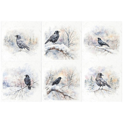 Zestaw papierów ryżowych - ptaki, kruki, wrony - RSM149 - Itd Collection