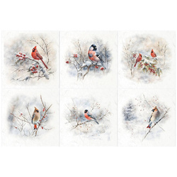 Zestaw papierów ryżowych - ptaki, kardynał, gil, jemiołuszka - RSM147 - Itd Collection