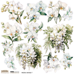 Naklejki papierowe - ScrapLove - White Orchid 1 biała orchidea