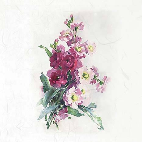 Zestaw papierów ryżowych - ITD RSM075 polne kwiaty, chabry