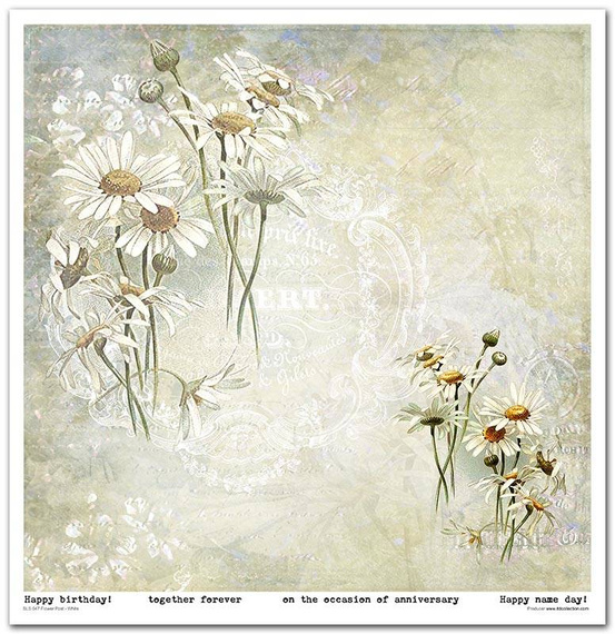 Zestaw papierów do scrapbookingu 30x30 - Itd Collection - Flower Post - White