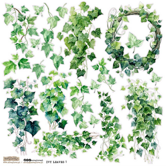 Naklejki papierowe - ScrapLove - Ivy Leaves 1 bluszcz
