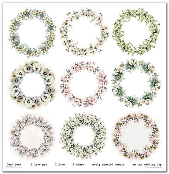 Zestaw papierów do scrapbookingu 30x30 - Itd Collection - Flower Post - White