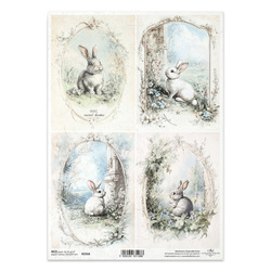 Papier ryżowy do decoupage A4 - zajączki ramki - R2568 - Itd Collection