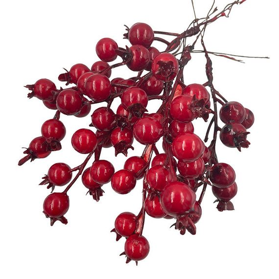 Głóg czerwony - 1 gałązka