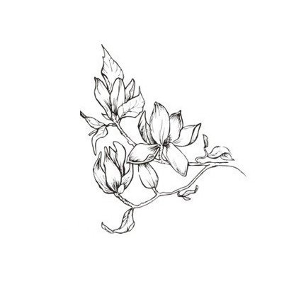 Stempel - Magnolia - Agateria