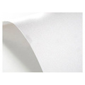 Papier A4 Elfenbens Sito 246g biały - 20ark
