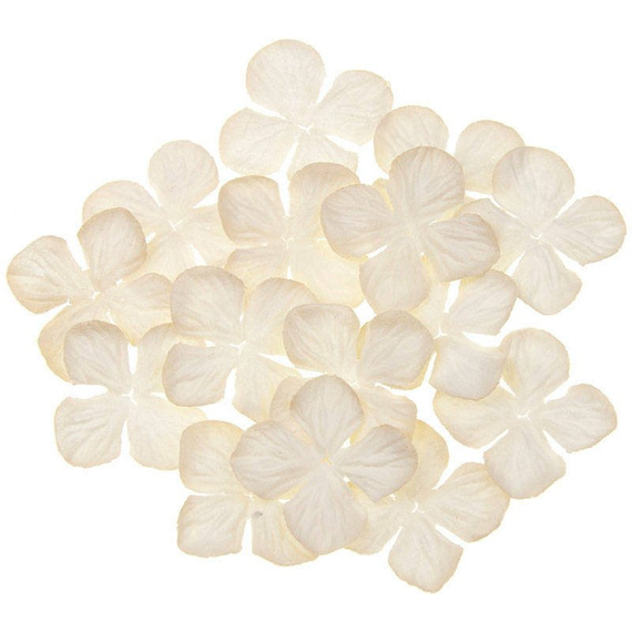 Hortensje - ciemne ivory 35mm - 100szt