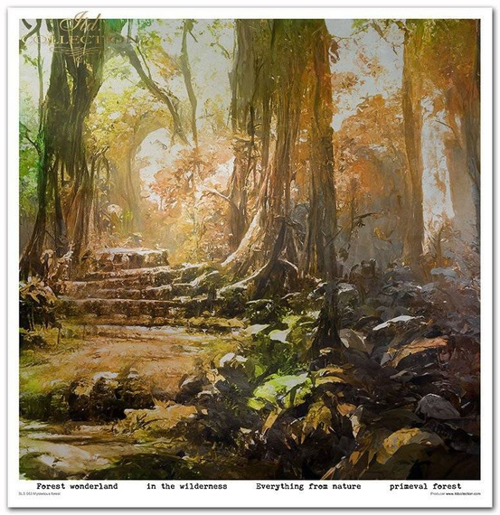 Zestaw papierów do scrapbookingu 30x30 - Itd Collection - Mysterious Forest
