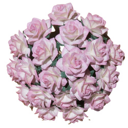 Róże gwiaździste dwutonowe różowo-kremowe 25mm - 50 szt