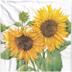 Serwetka 33x33cm - Mirasol słonecznik