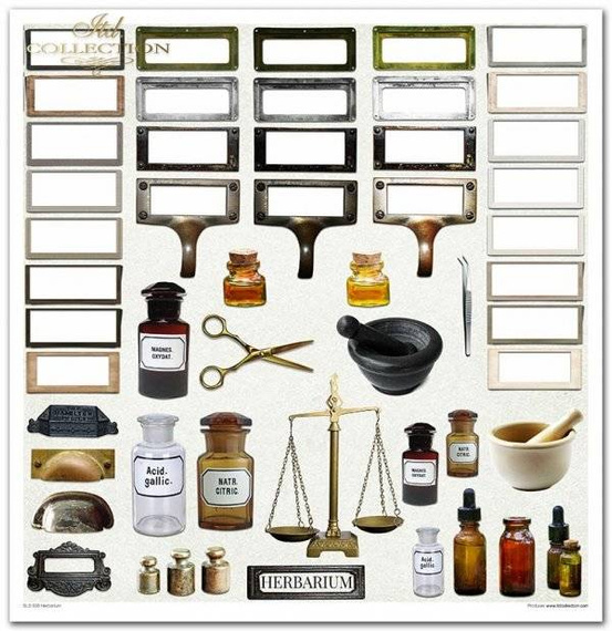 Zestaw papierów do scrapbookingu 30x30 - Herbarium zielnik