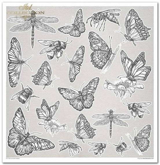 Zestaw papierów do scrapbookingu 30x30 - Summer Meadow