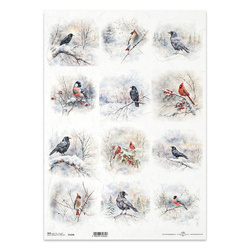 Papier ryżowy do decoupage A3 - zimowe ptaki, kruki, wrony, kardynał, gil - R1329L - Itd Collection