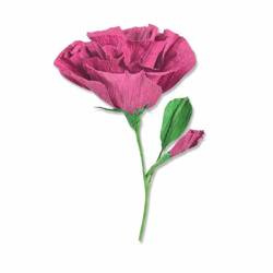 Wykrojnik Sizzix Thinlits - Lisianthus by Alexis Trimble kwiat