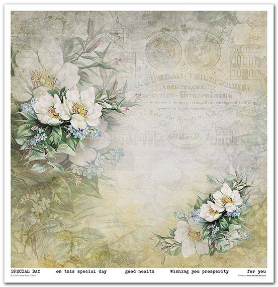 Zestaw papierów do scrapbookingu 30x30 - Itd Collection - Flower Post - White