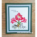 Stempel warstwowy - Marianne Design - Tiny's amarylis - amarylis