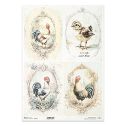 Papier ryżowy do decoupage A3 - koguty ramki - R1401L - Itd Collection