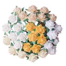 Róże gwiaździste miks naturalny 12mm - 50 szt