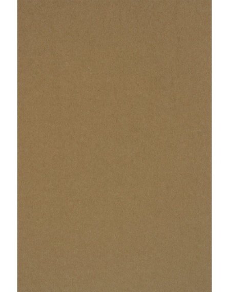 Papier A4 Kraft EKO PLUS 340g brązowy - 20ark