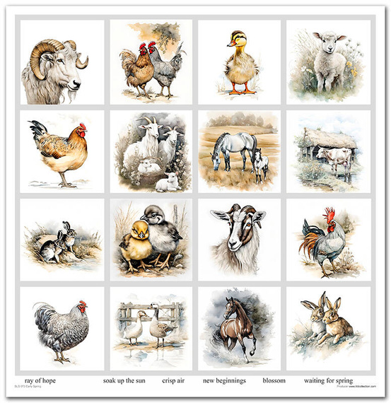 Zestaw papierów do scrapbookingu 30x30 - Itd Collection - Early Spring