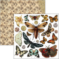 Zestaw papierów 15x15cm - Ciao Bella - Cabinet of curiosities