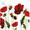 Serwetka 33x33cm - Poppy maki