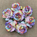 Duże dzikie róże - kolorowe (40mm) - 25szt
