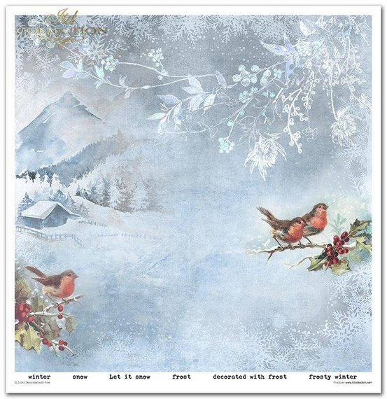 Zestaw papierów do scrapbookingu 30x30 - Decorated with frost