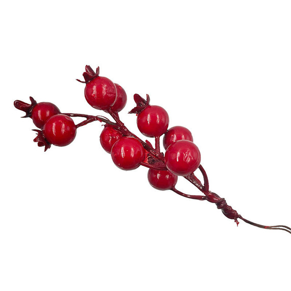 Głóg czerwony - 1 gałązka