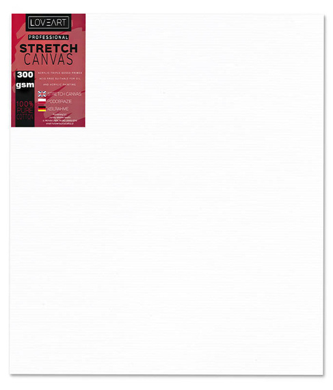 Zestaw malarski - Podobrazia 30x30, 24x30cm, Farby akrylowe, Pędzle