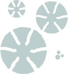 Wykrojnik Sizzix Bigz - Amelia Bouquet