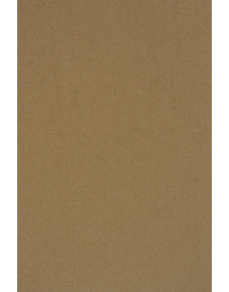 Papier A4 Kraft EKO 100g brązowy - 20 ark