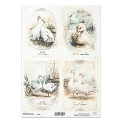 Papier ryżowy do decoupage A4 - gęsi - R2565 - Itd Collection