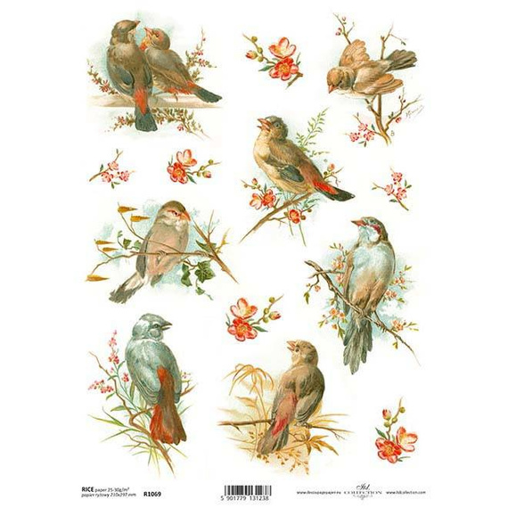 Papier ryżowy do decoupage A4 ITD-R1069 ptaszki