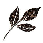 Pisak Wink of Stella Brush - Black - ZIG Kuretake czarny