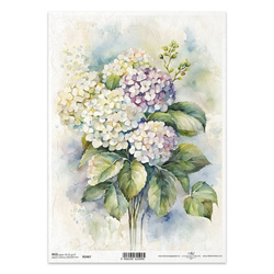 Papier ryżowy do decoupage A4 ITD-R2467 hortensje
