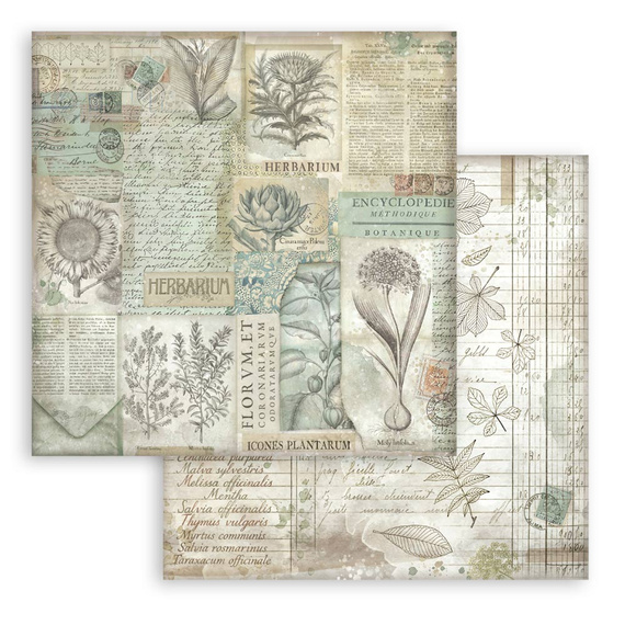 Zestaw papierów do scrapbookingu 30x30 - Herbarium Silvae tła - Stamperia